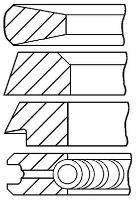Set segmenti piston WG1096560 WILMINK GROUP