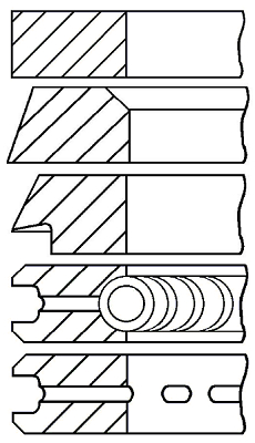 Set segmenti piston WG1096561 WILMINK GROUP