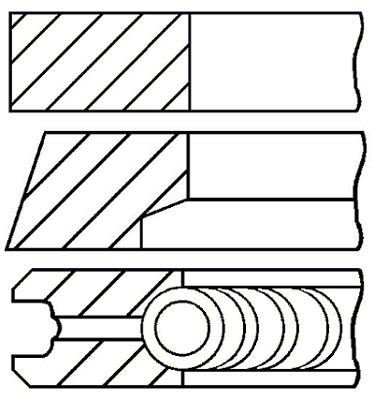 Set segmenti piston WG1096488 WILMINK GROUP