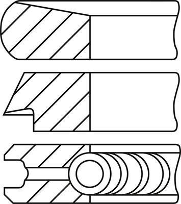 Set segmenti piston WG2171362 WILMINK GROUP