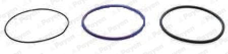 Set garnituri, bucsa cilindru WG1939296 WILMINK GROUP
