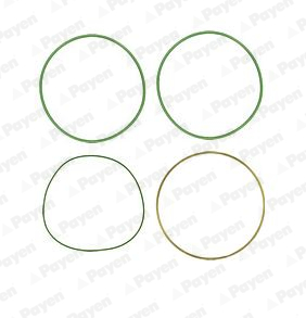 Set garnituri, bucsa cilindru WG1090654 WILMINK GROUP