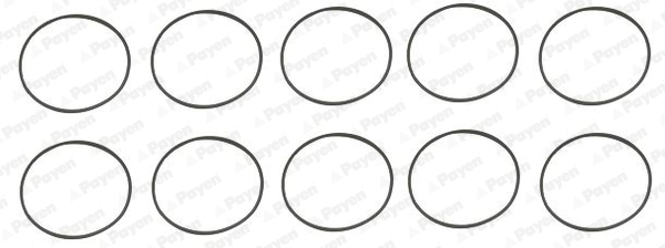 Set garnituri, bucsa cilindru WG2179571 WILMINK GROUP