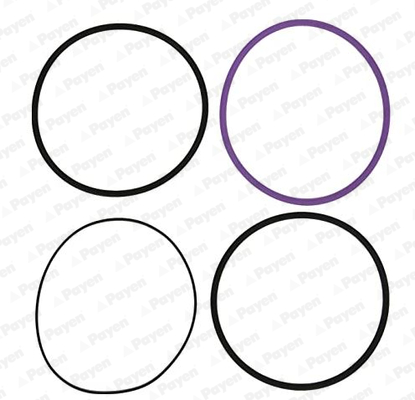 Set garnituri, bucsa cilindru WG1460728 WILMINK GROUP