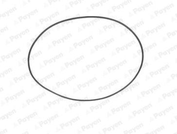 O-ring, camasa cilindru WG1184670 WILMINK GROUP