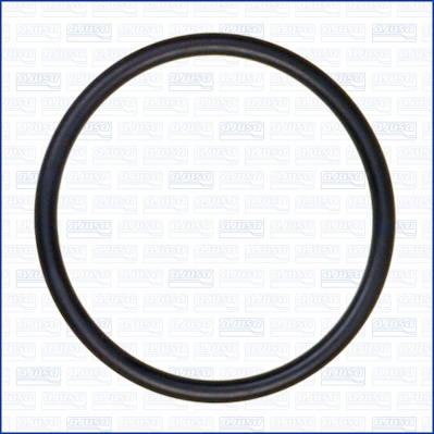 Garnitura termostat WG1163666 WILMINK GROUP