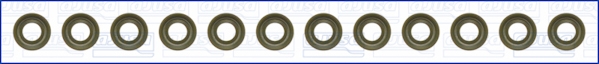 Set garnituri, ax supape WG1169881 WILMINK GROUP