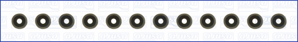 Set garnituri, ax supape WG1169950 WILMINK GROUP