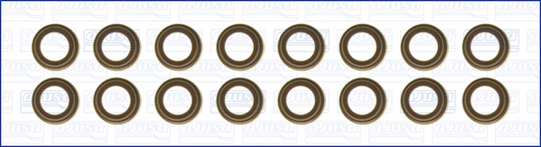 Set garnituri, ax supape WG1169955 WILMINK GROUP