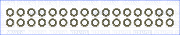 Set garnituri, ax supape WG1169956 WILMINK GROUP