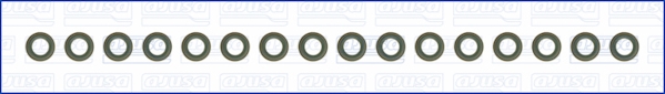 Set garnituri, ax supape WG1169962 WILMINK GROUP
