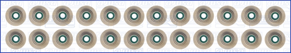 Set garnituri, ax supape WG1455828 WILMINK GROUP