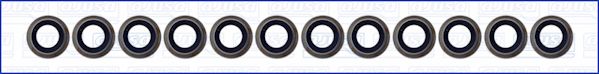 Set garnituri, ax supape WG1170064 WILMINK GROUP