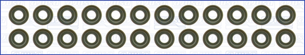 Set garnituri, ax supape WG1170066 WILMINK GROUP