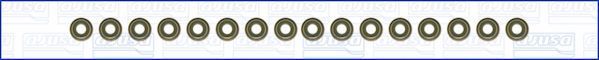 Set garnituri, ax supape WG1753797 WILMINK GROUP