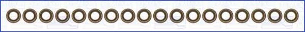 Set garnituri, ax supape WG1753828 WILMINK GROUP