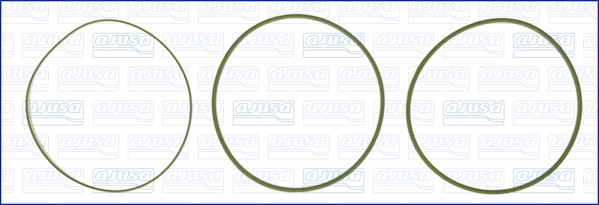 Set garnituri, bucsa cilindru WG1170226 WILMINK GROUP