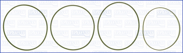 Set garnituri, bucsa cilindru WG1170228 WILMINK GROUP
