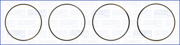 Set garnituri, bucsa cilindru WG1170242 WILMINK GROUP