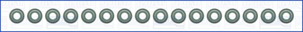 Set garnituri, ax supape WG1959731 WILMINK GROUP