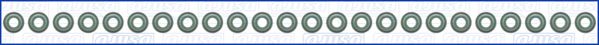 Set garnituri, ax supape WG1959733 WILMINK GROUP
