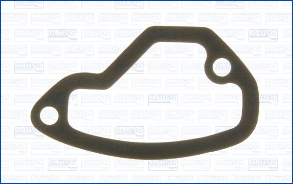 Garnitura, carcasa termostat WG2073615 WILMINK GROUP