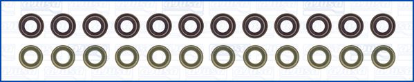 Set garnituri, ax supape WG2172697 WILMINK GROUP