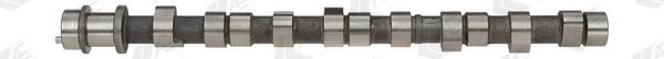 Ax cu came WG1093052 WILMINK GROUP