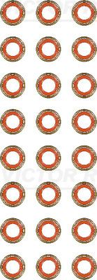 Set garnituri, ax supape WG1242599 WILMINK GROUP