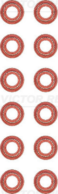 Set garnituri, ax supape WG1103077 WILMINK GROUP