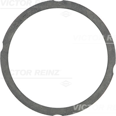 Garnitura, chiulasa WG1103301 WILMINK GROUP