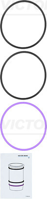 Set garnituri, bucsa cilindru WG1103273 WILMINK GROUP