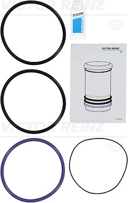 Set garnituri, bucsa cilindru WG1243412 WILMINK GROUP