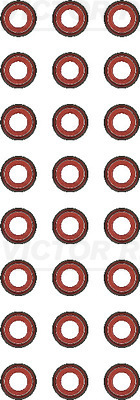 Set garnituri, ax supape WG1911135 WILMINK GROUP