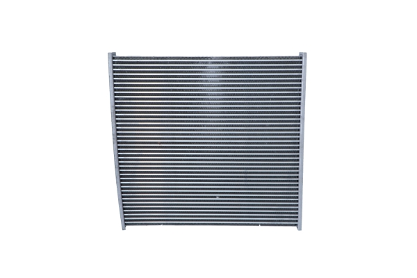 Reteaua radiatorului, intercooler WG1734265 WILMINK GROUP