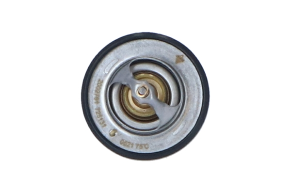 Termostat,lichid racire WG2184750 WILMINK GROUP