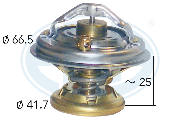 Termostat,lichid racire WG2013885 WILMINK GROUP