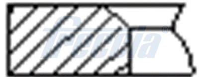 Set segmenti piston WG1945946 WILMINK GROUP