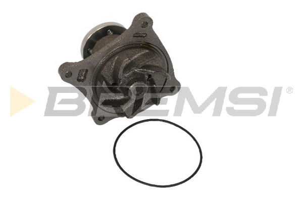 Pompă de apă, răcire motor WP0495 BREMSI