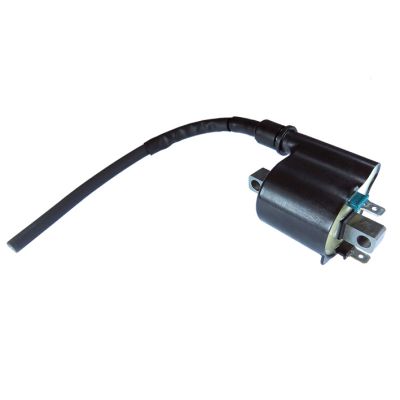 Bobina de inductie GM12017 GAUSS