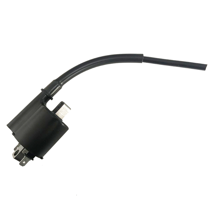Bobina de inductie GM12036 GAUSS