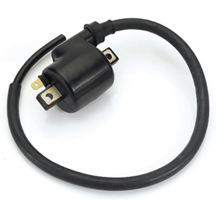 Bobina de inductie GM12012 GAUSS
