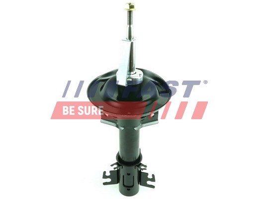 Amortizor FT11317 FAST