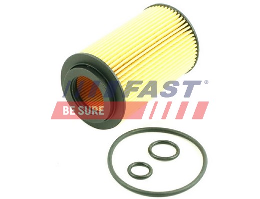 Filtru ulei FT38013 FAST