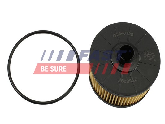 Filtru ulei FT38097 FAST