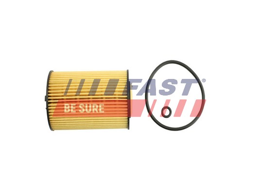 Filtru ulei FT38098 FAST