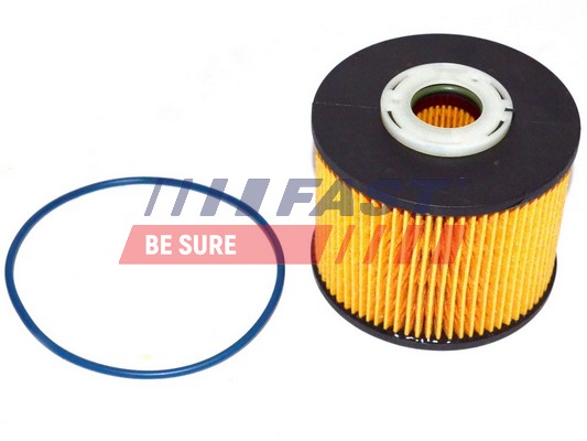 Filtru combustibil FT39077 FAST