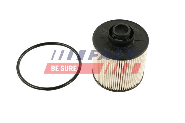 Filtru combustibil FT39306 FAST
