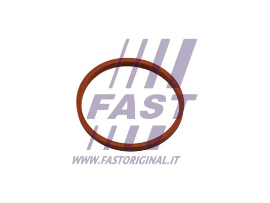 Inel etansare, furtun aer supraalimentare FT48932 FAST