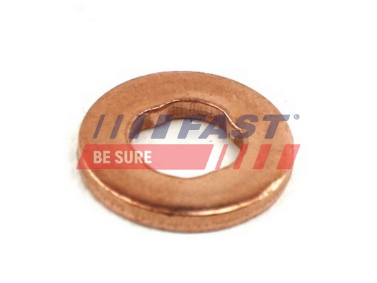 Simering, suport diuza FT49846 FAST